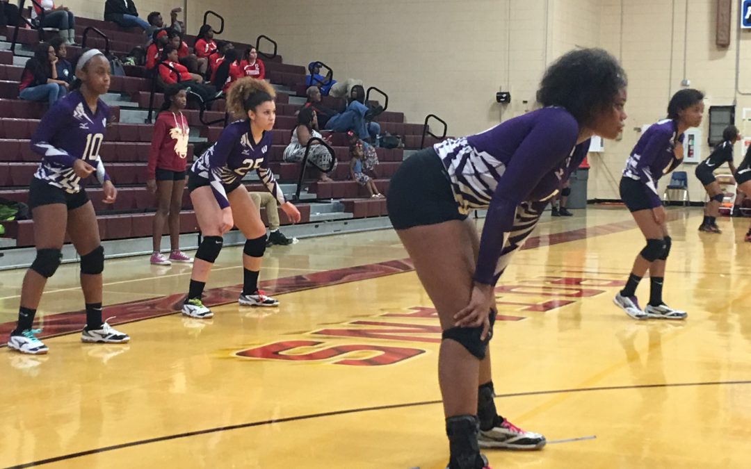 Volleyball Hosts The Rumble in the Jungle