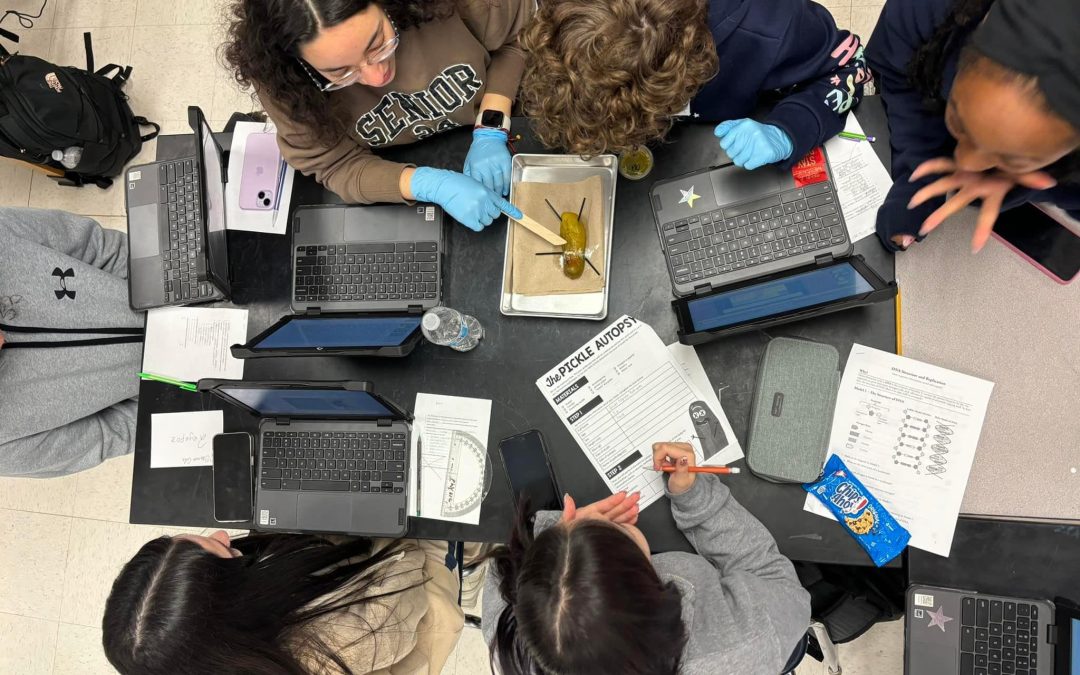 Students Conclude Forensics Unit with Pickle Autopsy Lab